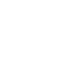 Zendom